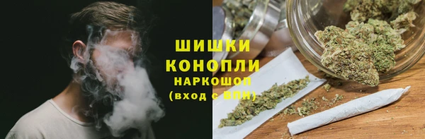 стаф Богданович