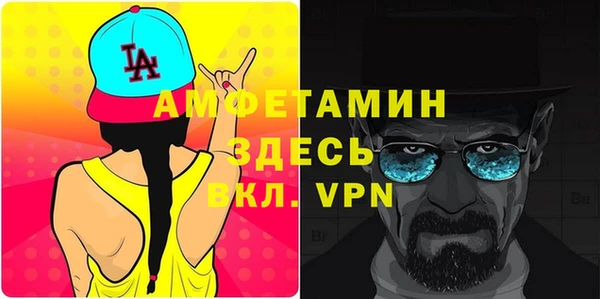 стаф Богданович