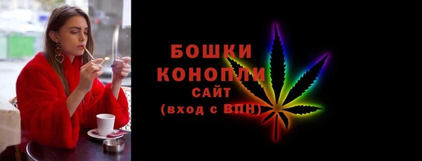 стаф Богданович