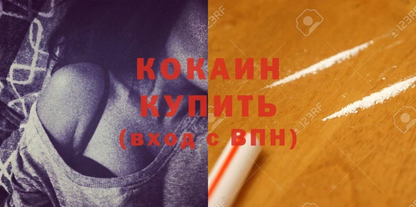 стаф Богданович