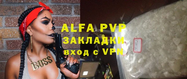 стаф Богданович